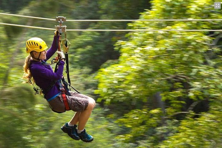 Big Island Kohala Zipline Canopy Adventure